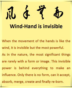 Feng Shou Wu Xing Lee Style Internal Martial Arts