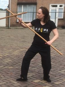 Marjolein van Gaalen Lee Style Internal Martial Arts