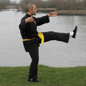 Tai Chi Lee Style Internal Martial Arts