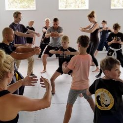 Ouder-Kids Kung Fu Lee Style Internal Martial Arts