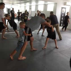 Ouder-Kids Kung Fu Lee Style Internal Martial Arts