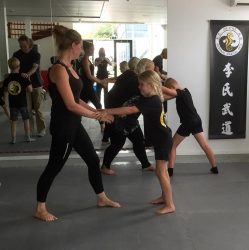 Ouder-Kids Kung Fu Lee Style Internal Martial Arts