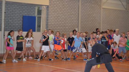 Kids Kung Fu Mgr Zwijsenschool Lee Style Internal Martial Arts