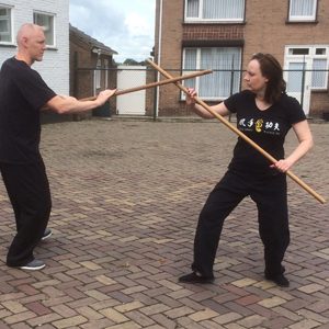 Feng Shou Kung Fu Lee Style Internal Martial Arts