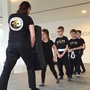 Kids Kung Fu 3 Lee Style Internal Martial Arts