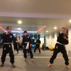 Kung Fu examen Lee Style Internal Martial Arts