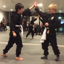 Kung Fu examen Lee Style Internal Martial Arts