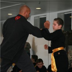 kids kung fu examen 2017 Lee Style Internal Martial Arts