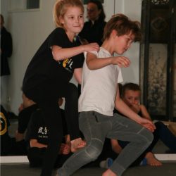 kids kung fu examen 2017 Lee Style Internal Martial Arts