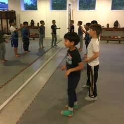 kids kung fu examen 2017 Lee Style Internal Martial Arts