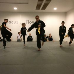 kids kung fu examen 2017 Lee Style Internal Martial Arts