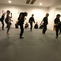 kids kung fu examen 2017 Lee Style Internal Martial Arts